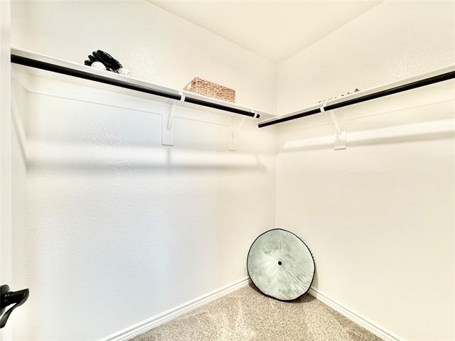 8725 Scottys Lake Lane - Photo 33