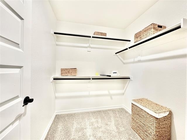 8725 Scottys Lake Lane - Photo 20