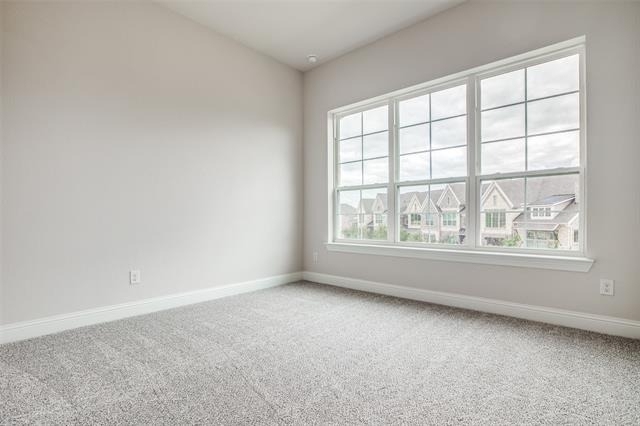 4944 Mckinney Hollow Drive - Photo 17