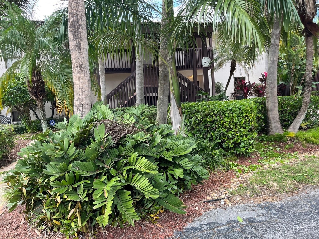 9256 Sabal Ridge Circle - Photo 12
