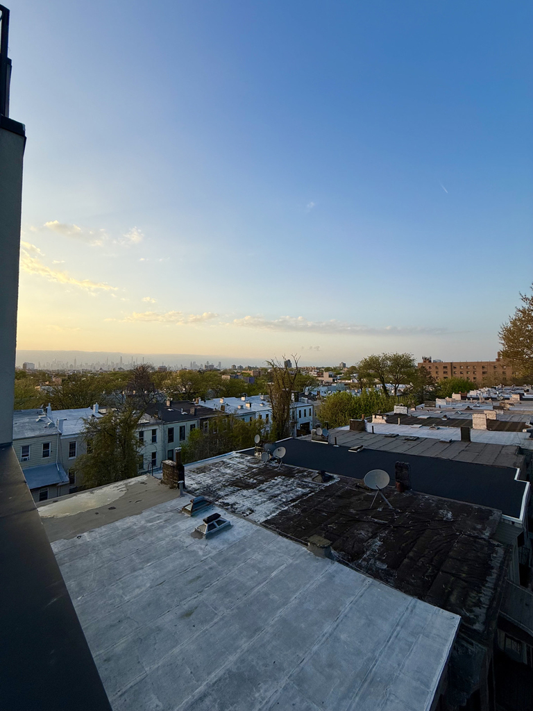 693 Chauncey Street - Photo 16