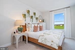 61 Zander Road - Photo 15
