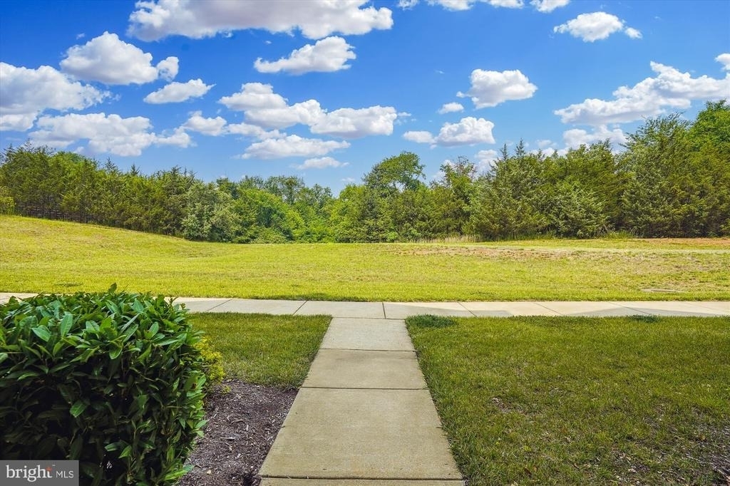 21707 Charity Terrace - Photo 3