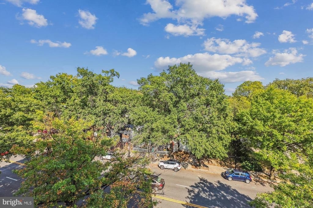 4308 Georgia Avenue Nw - Photo 26