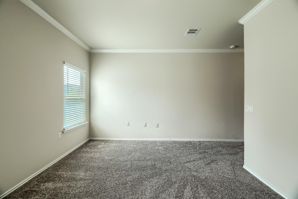 10001 Pinnacle Crest Loop - Photo 16
