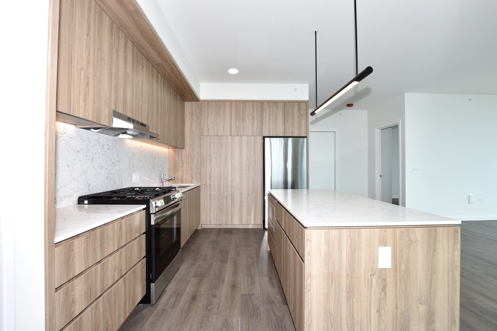 1000 S Michigan Avenue - Photo 11