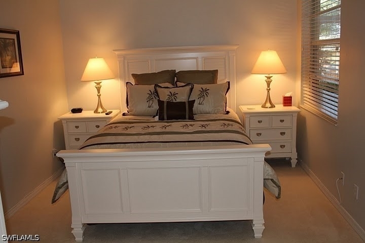 8680 Cedar Hammock Circle - Photo 10
