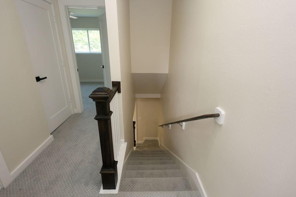 708 Staitti Street - Photo 12
