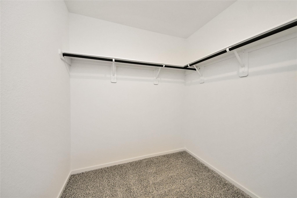 27458 Serene Pine Drive - Photo 16