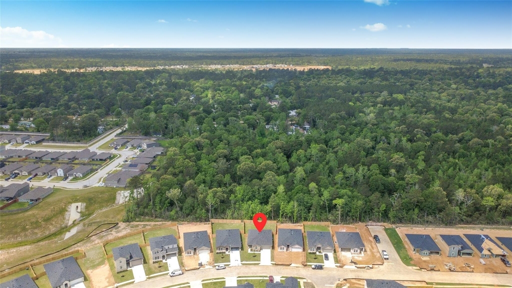 27458 Serene Pine Drive - Photo 37