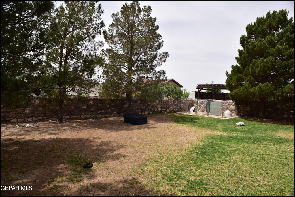 1316 Black Ridge Drive - Photo 45