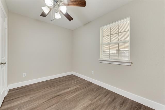 913 Live Oak Street - Photo 13