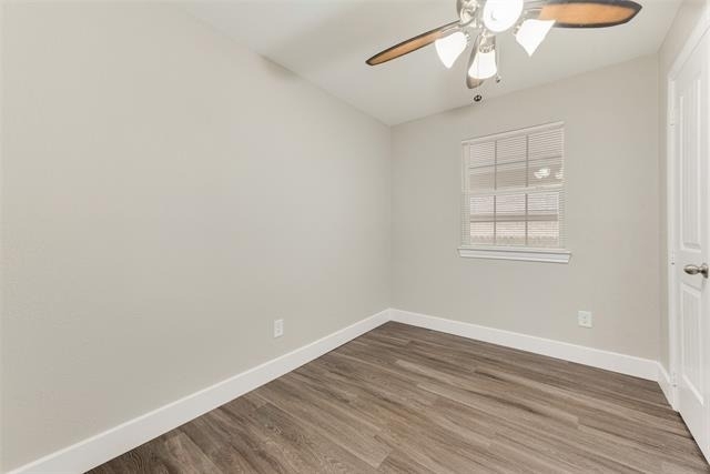 913 Live Oak Street - Photo 15