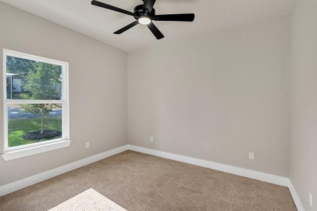 805 Branding Iron Trail - Photo 15