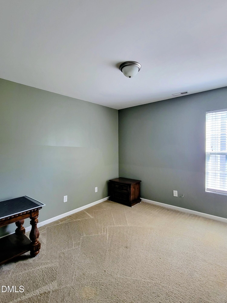 3742 Horseshoe Farm Street - Photo 15