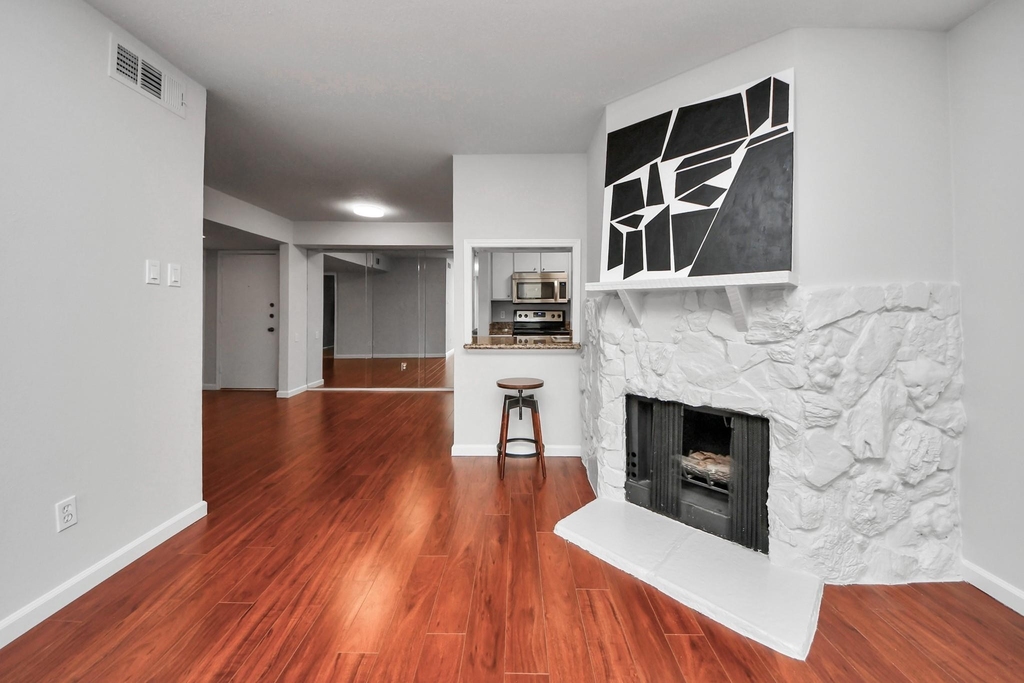 4641 Wild Indigo Street - Photo 5