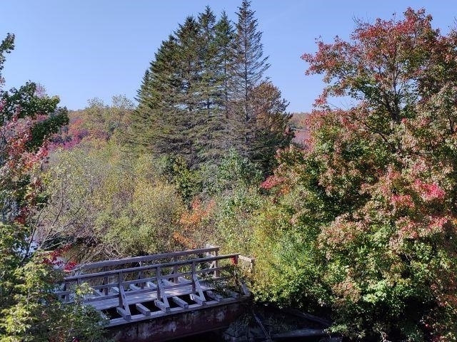 162 Lower Main - Photo 2