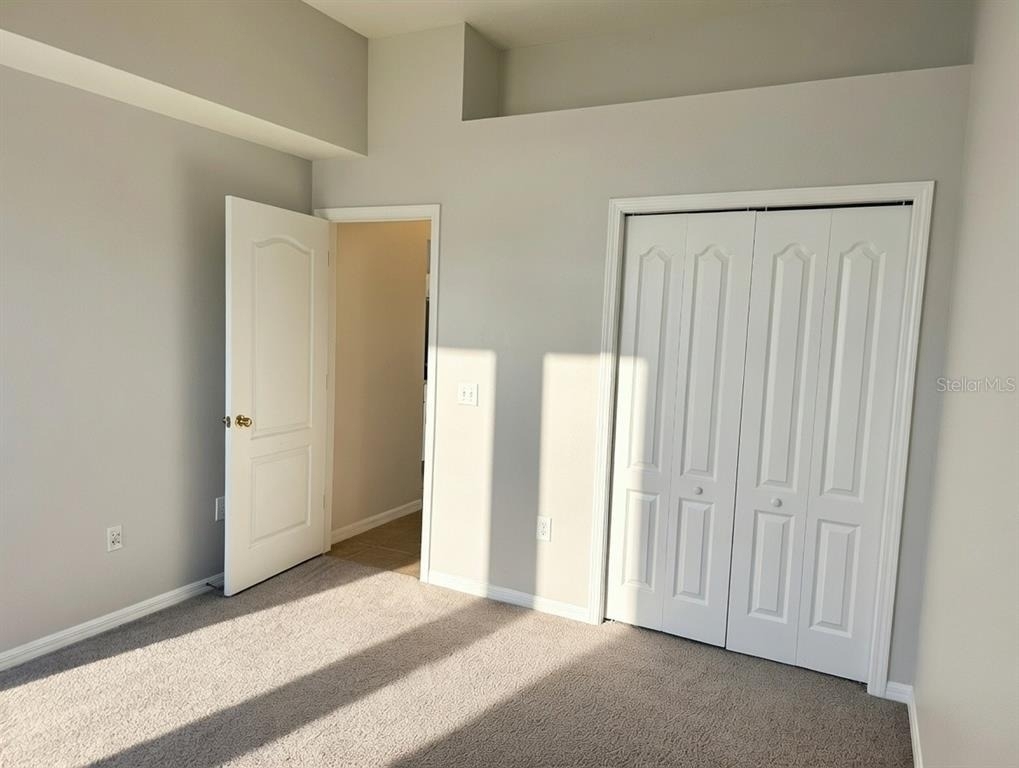 10805 Australian Pine Drive - Photo 6