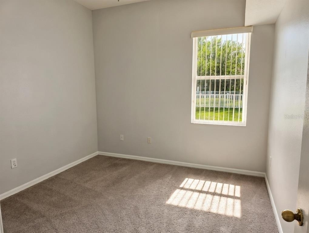 10805 Australian Pine Drive - Photo 5