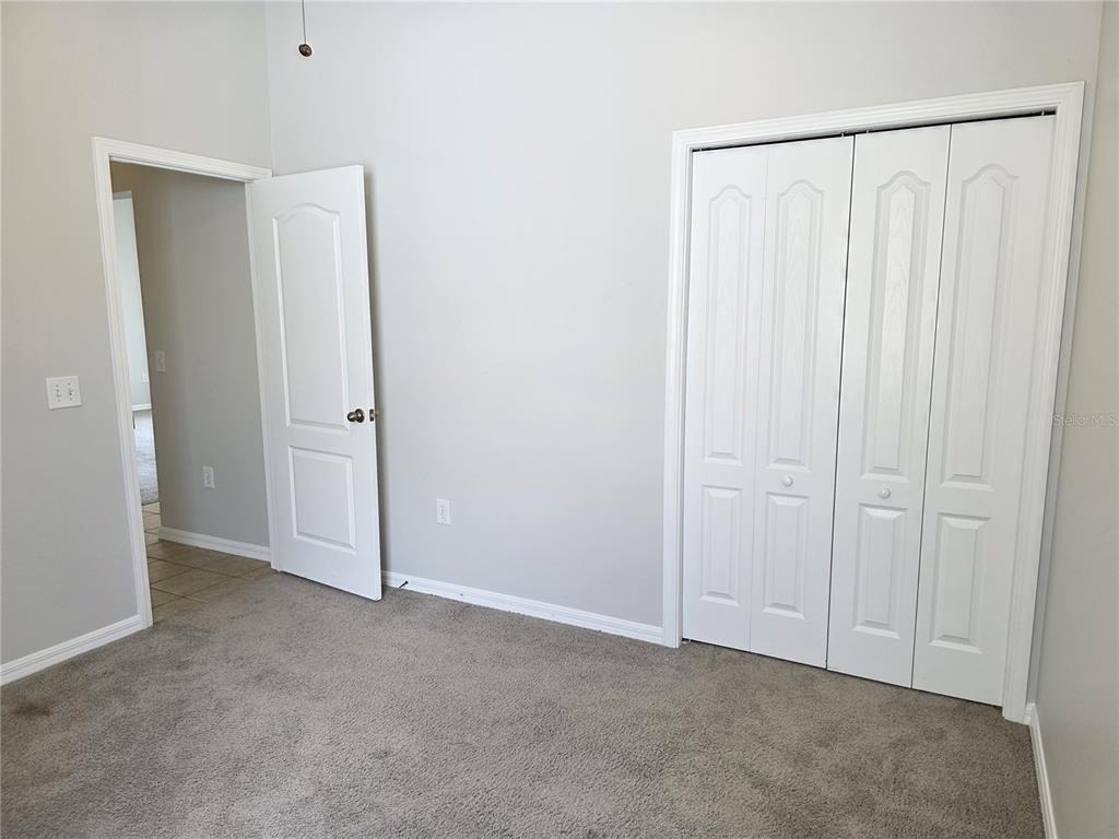 10805 Australian Pine Drive - Photo 8