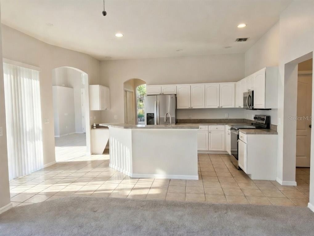 10805 Australian Pine Drive - Photo 3