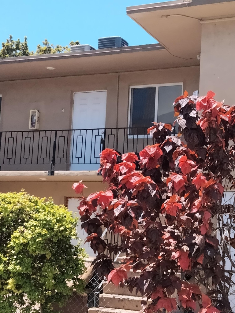 460 Sw 7th Street - Photo 12