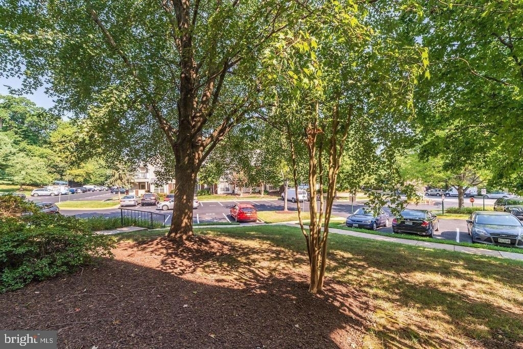 3903 Penderview Drive - Photo 16