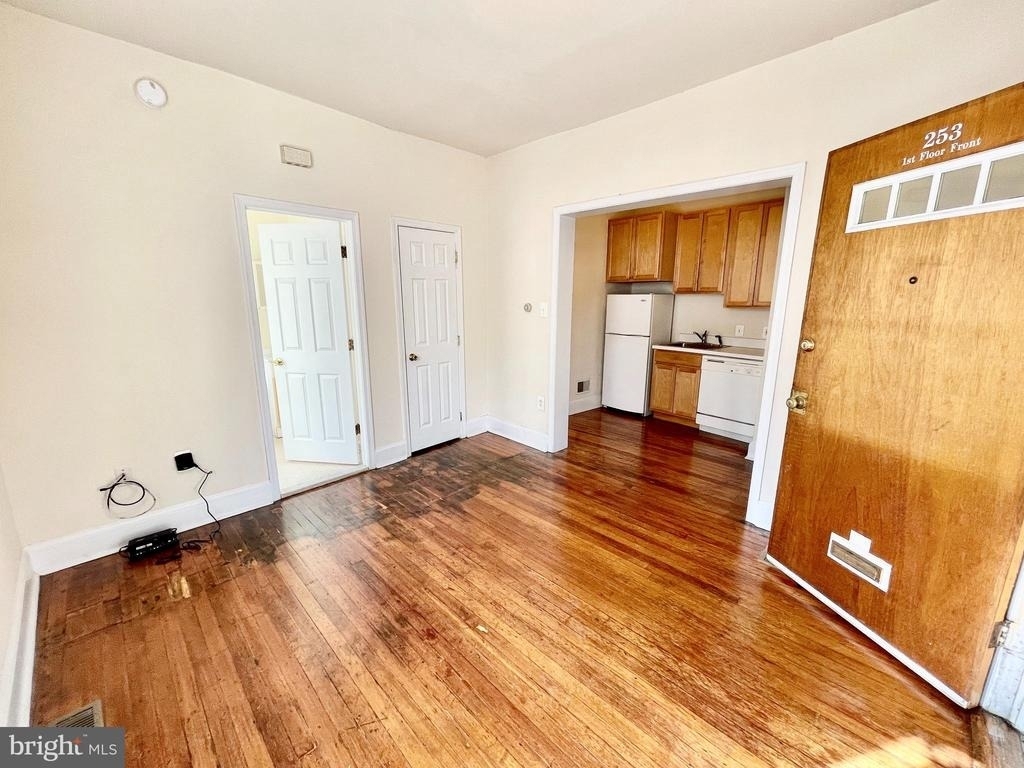 253 W Hansberry Street - Photo 1