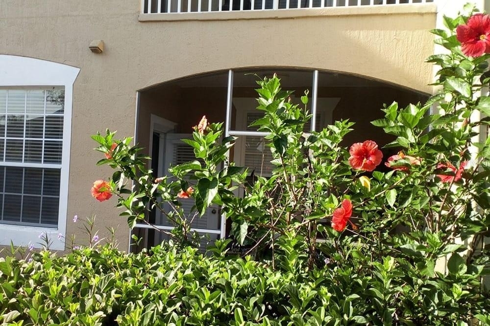 2307 Butterfly Palm Way - Photo 12