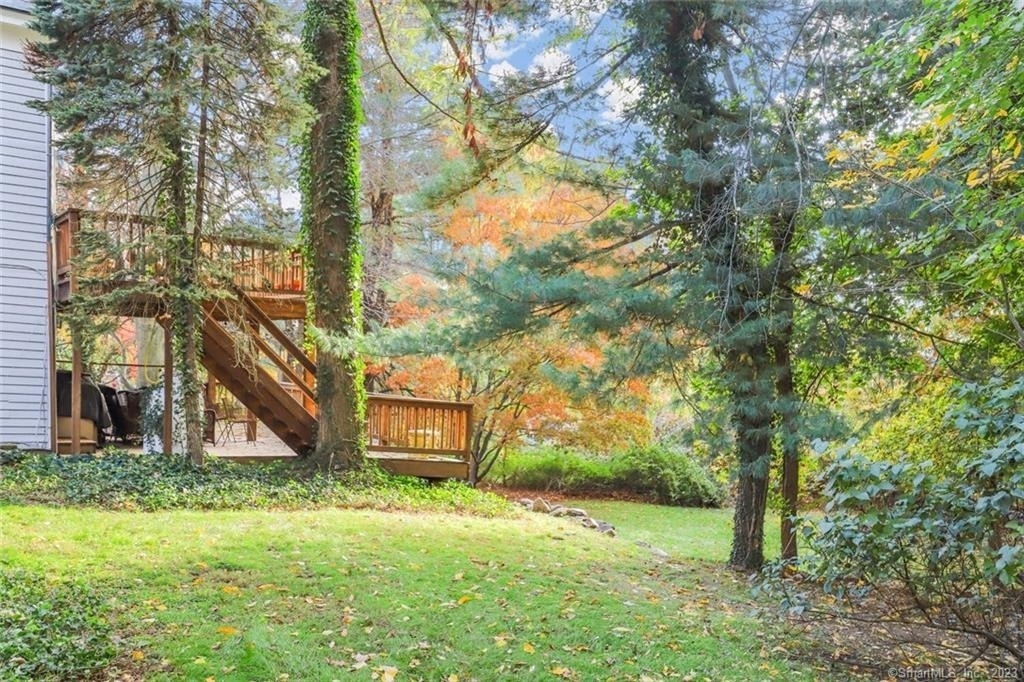 49 Hollow Tree Ridge Road - Photo 21