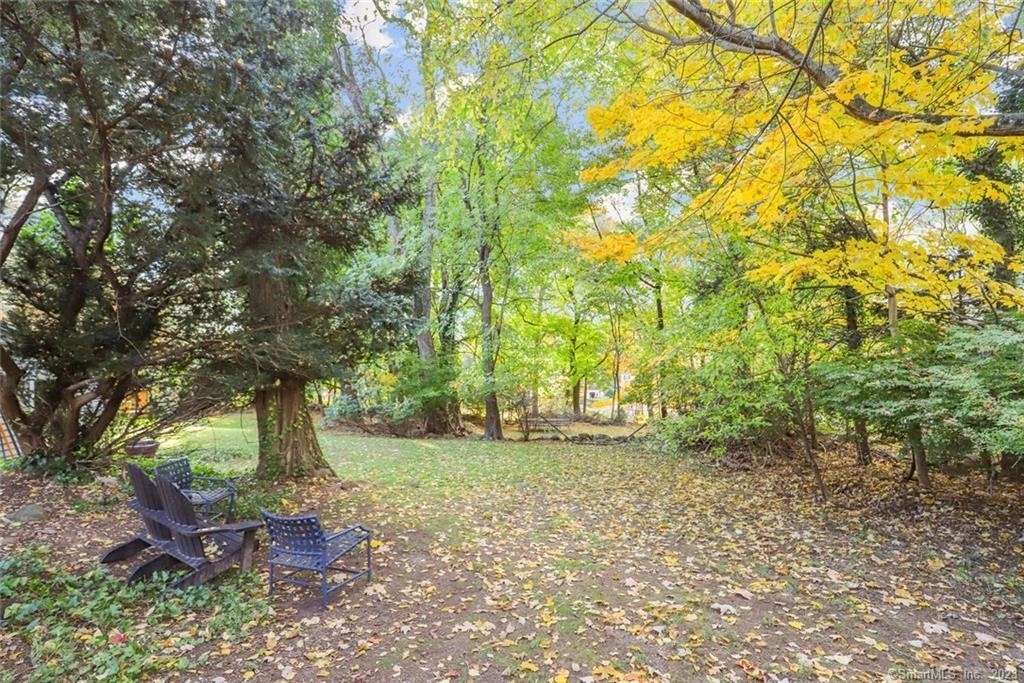 49 Hollow Tree Ridge Road - Photo 20