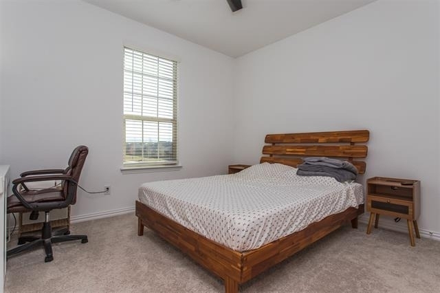 8605 Red Fox Trail - Photo 16