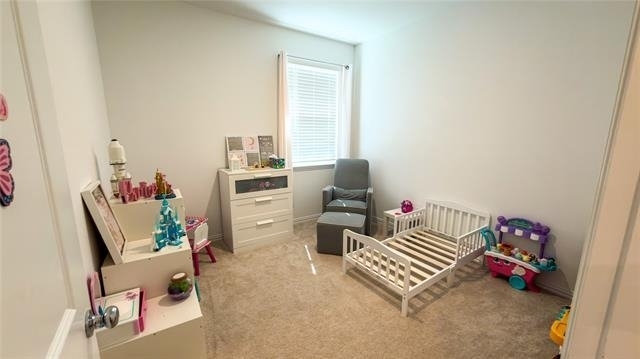 5105 Greywing Drive - Photo 10