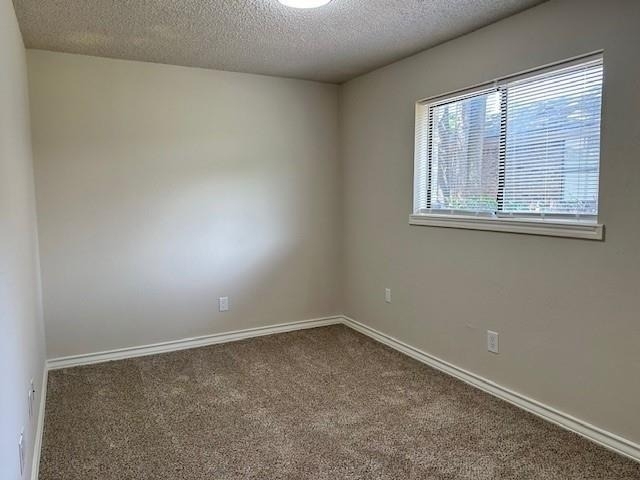 4119 Spring Meadow Lane - Photo 12