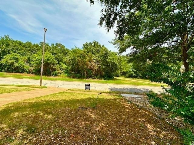 4119 Spring Meadow Lane - Photo 26