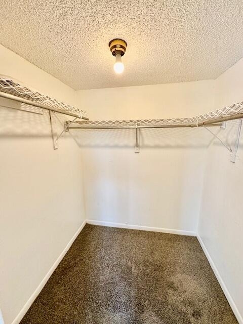 3300 Spanish Moss Terrace - Photo 11