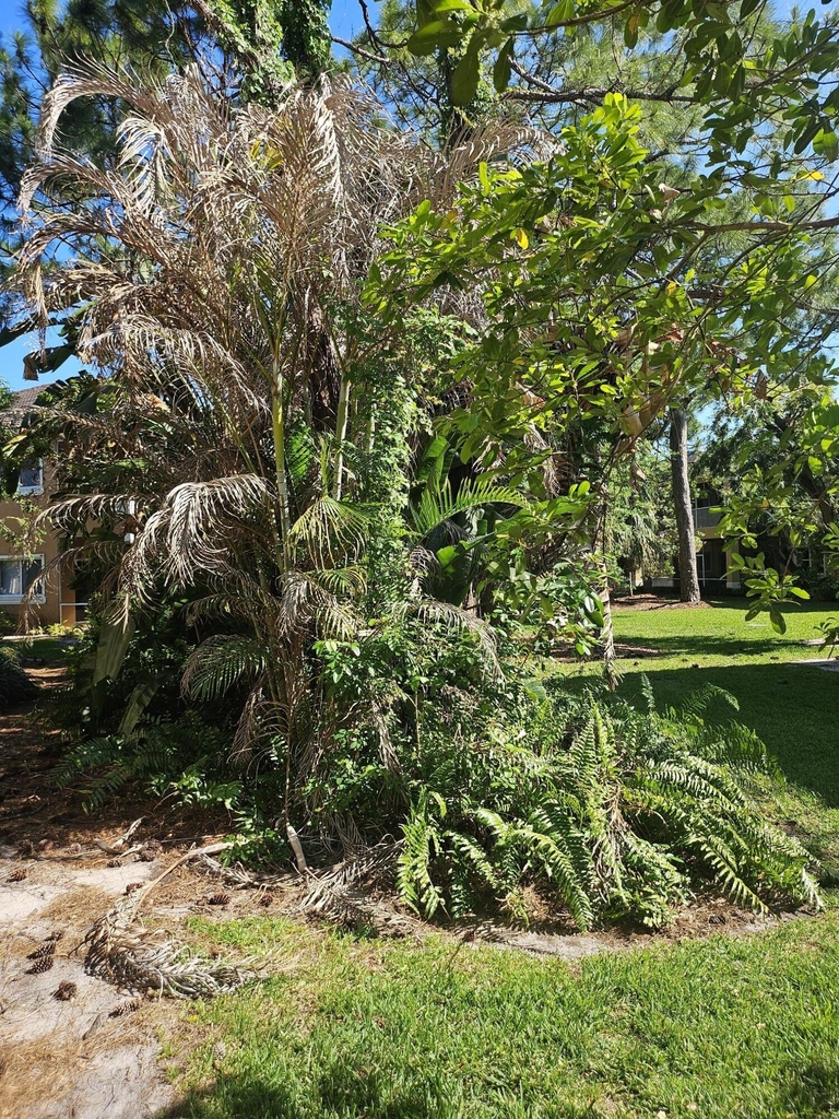 8227 Mulligan Circle - Photo 17
