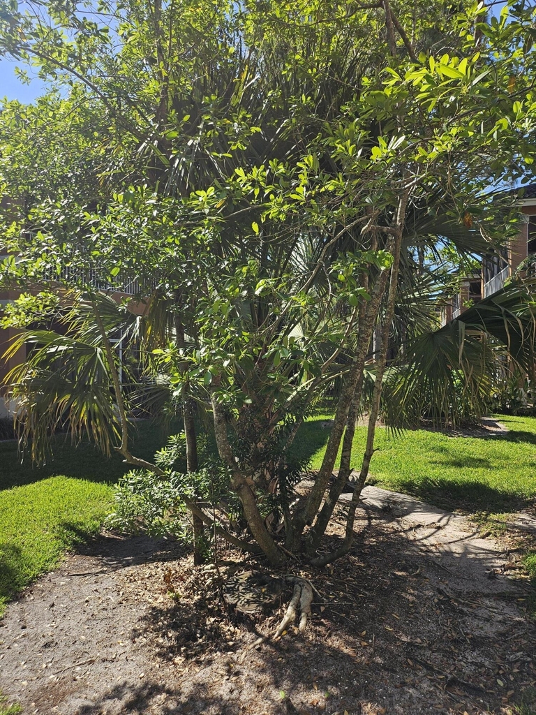8227 Mulligan Circle - Photo 19