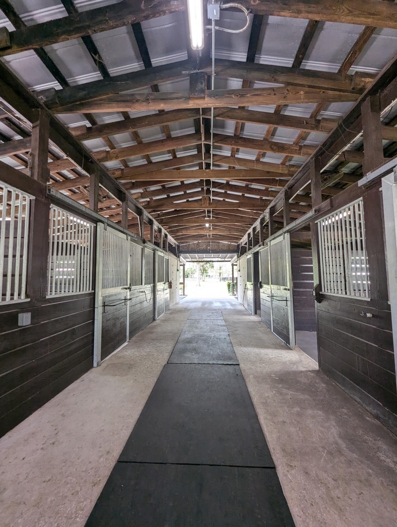 13161 Casey Road - Photo 7