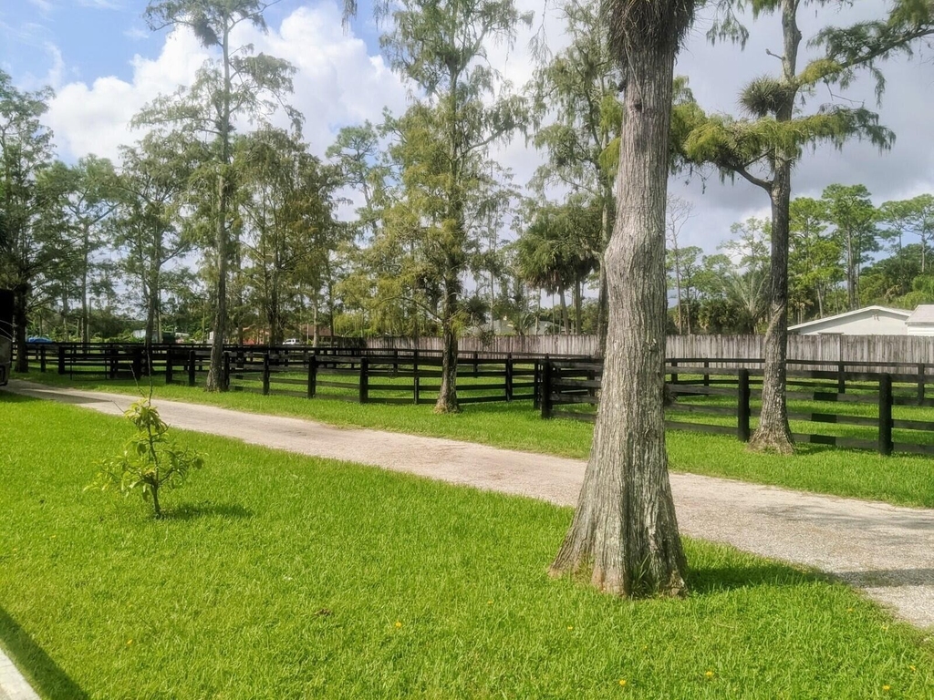 13161 Casey Road - Photo 17