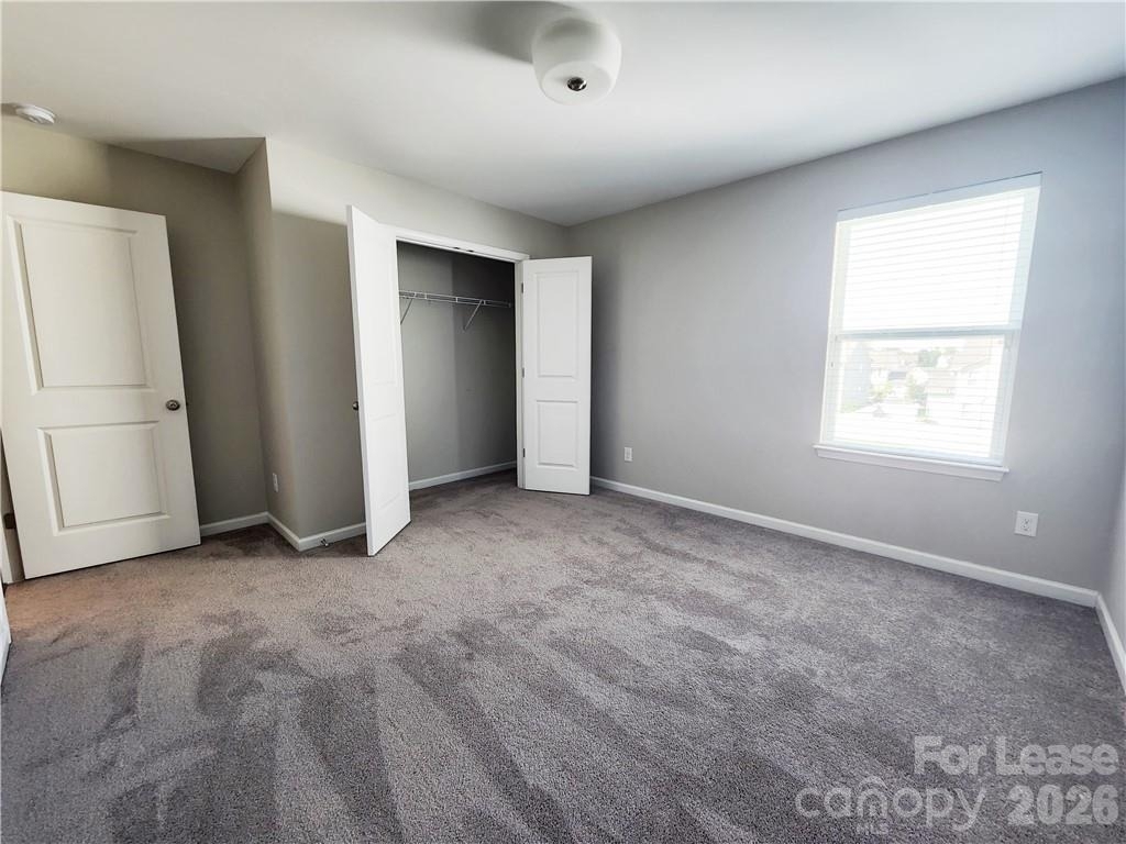 4925 Grace View Drive - Photo 19