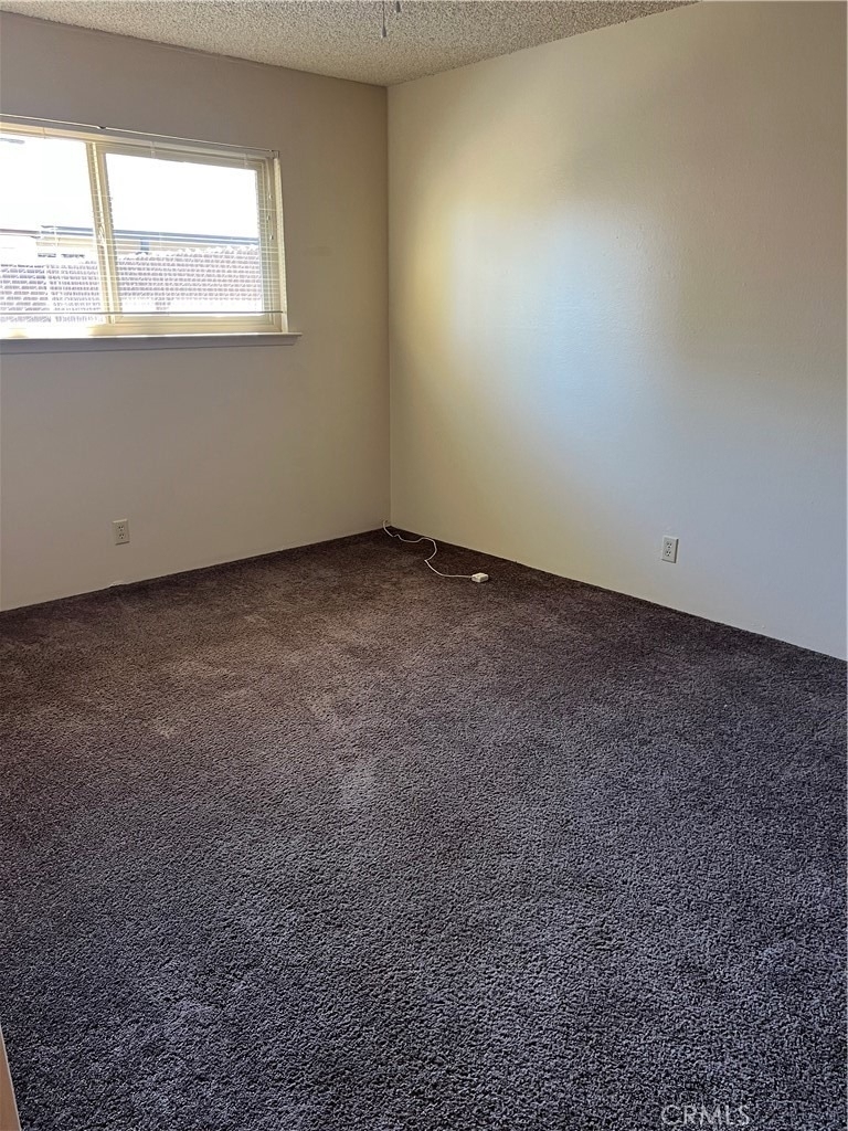 9 San Gabriel - Photo 5