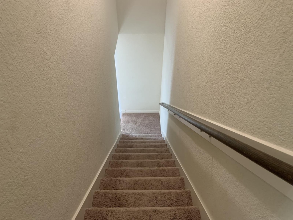 217 Denson Ln - Photo 19
