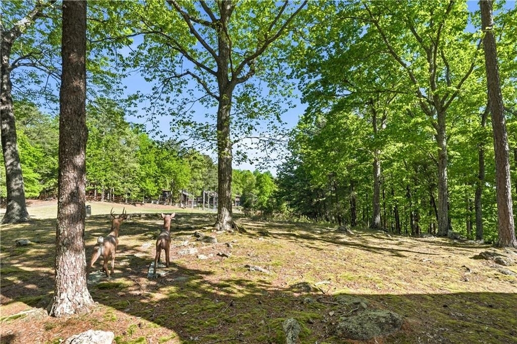 114 Cherokee Drive S - Photo 38