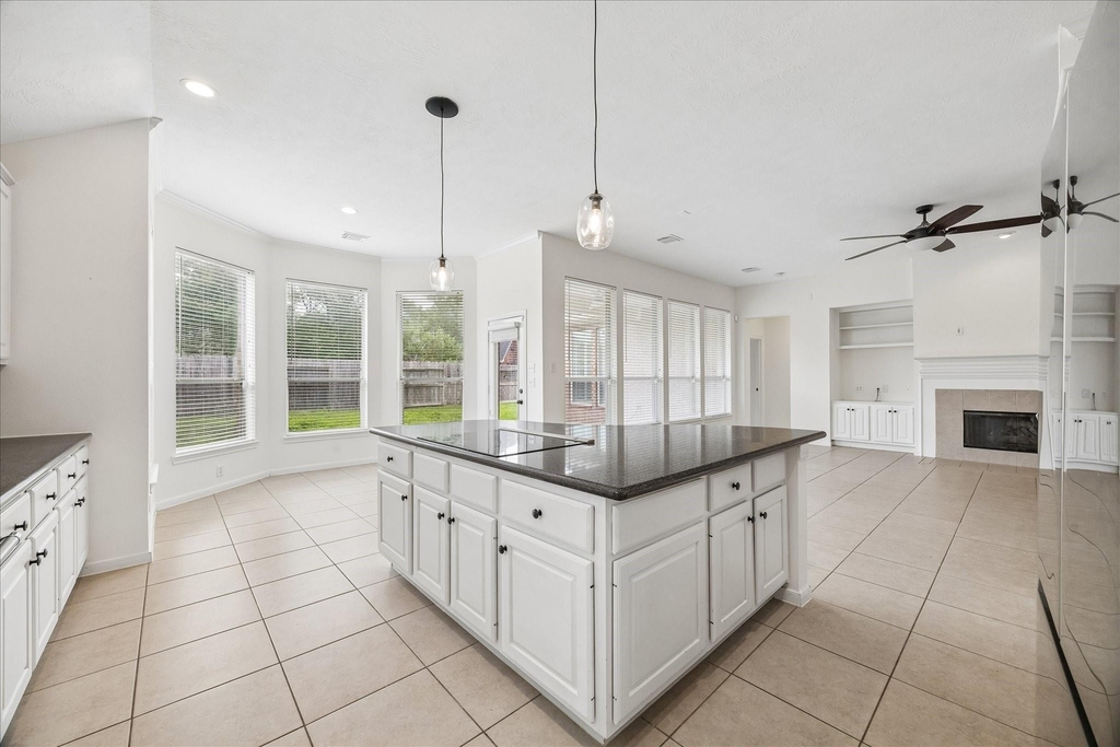 12507 Aliso Bend Lane - Photo 9