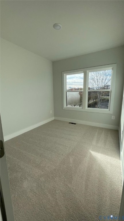 10120 All Star Blvd Lane - Photo 13