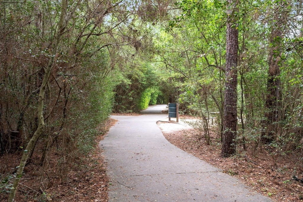 36 White Bark Place - Photo 46