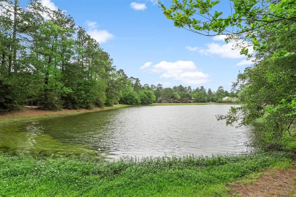36 White Bark Place - Photo 45