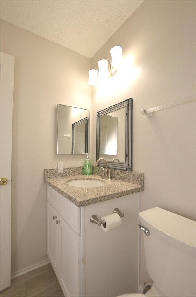 703 Flower Field Court - Photo 17