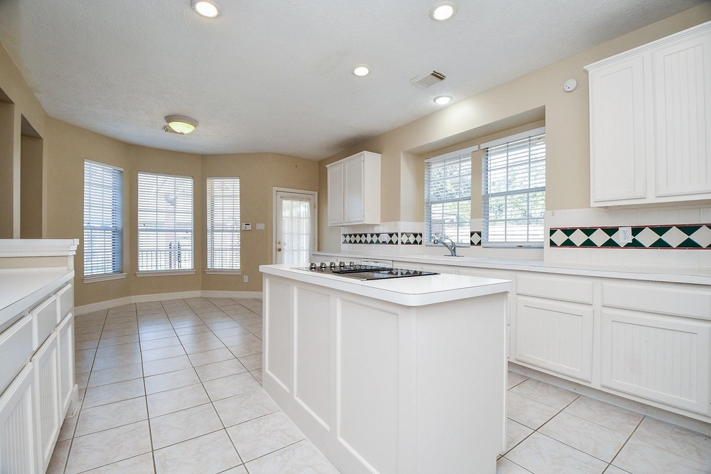 1502 Emerald Springs Court - Photo 12
